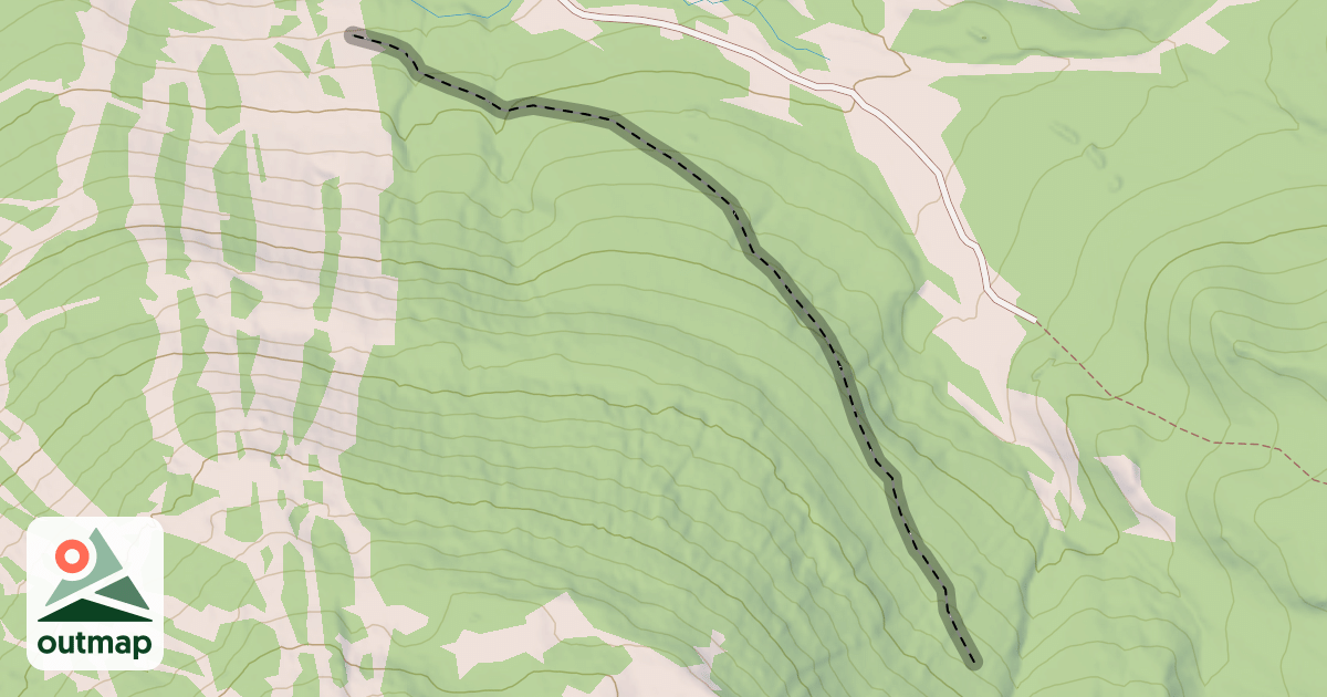 Map of E6