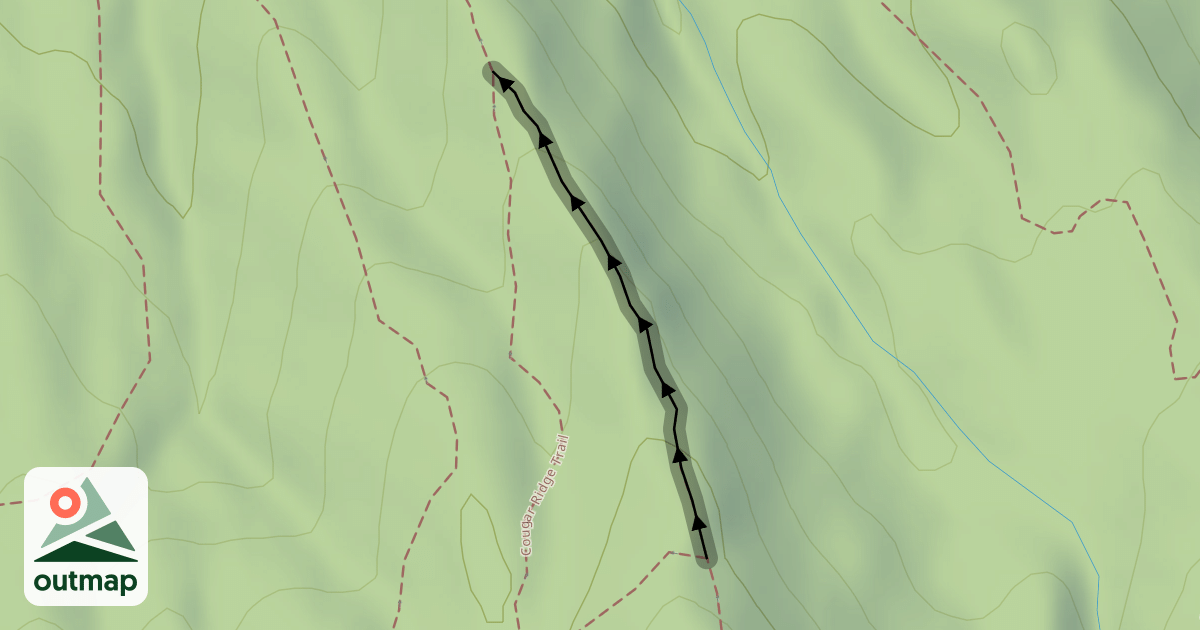 Map of Cougar Ridge Trail