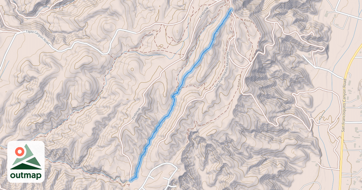 Map of Burn Victim