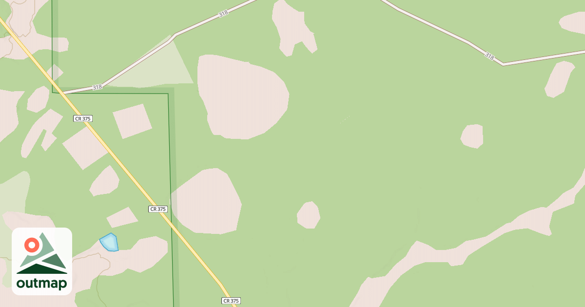 Map of USFS National Forest System Roads {885D6AEF-76AC-44D7-90B7-FD10F9C3AAB2}