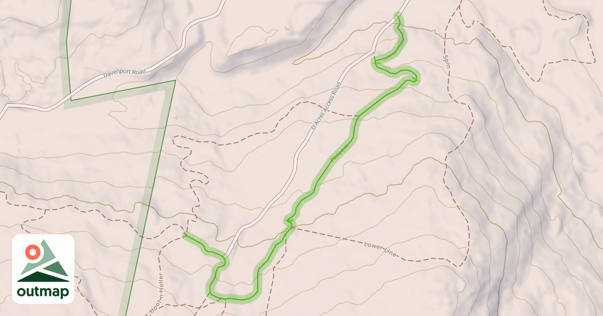 Map of Phloem