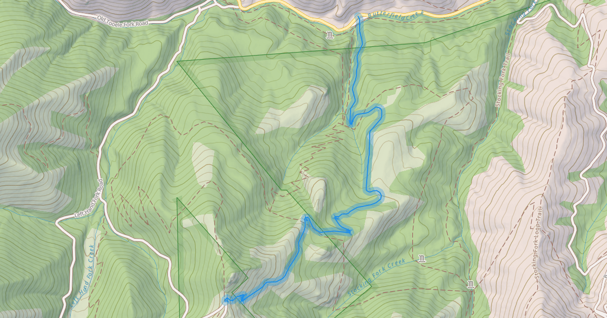Map preview of Swamp Fork Trail