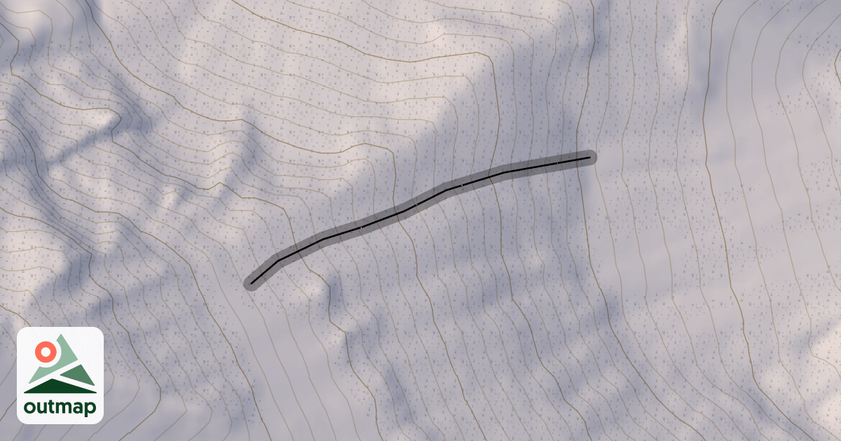 Map of 1st Gully