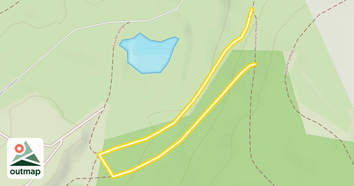 Map of Arlene's Way