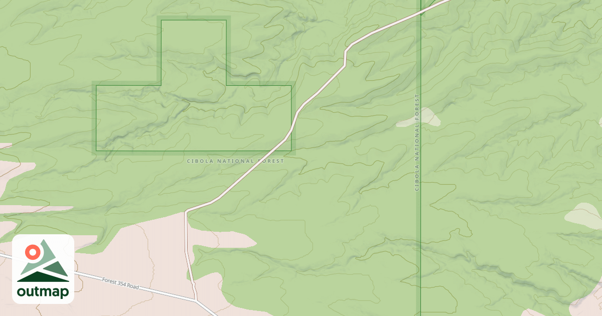 Map of USFS National Forest System Roads {0BCC3DA9-137C-446E-9052-58A94AD3D344}