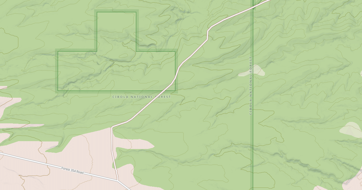 Map preview of USFS National Forest System Roads {0BCC3DA9-137C-446E-9052-58A94AD3D344}