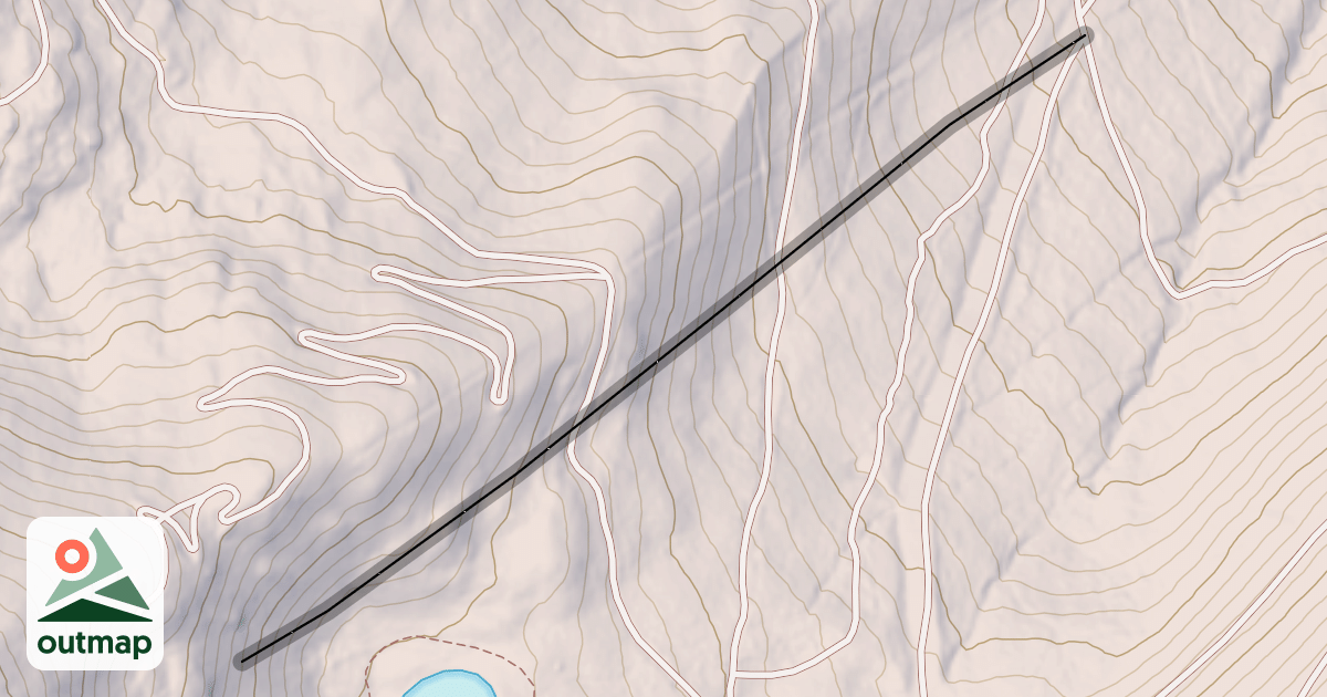 Map of Tower 19 Trees