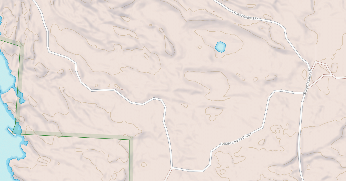 Map preview of GROUSE LAKE SPUR E