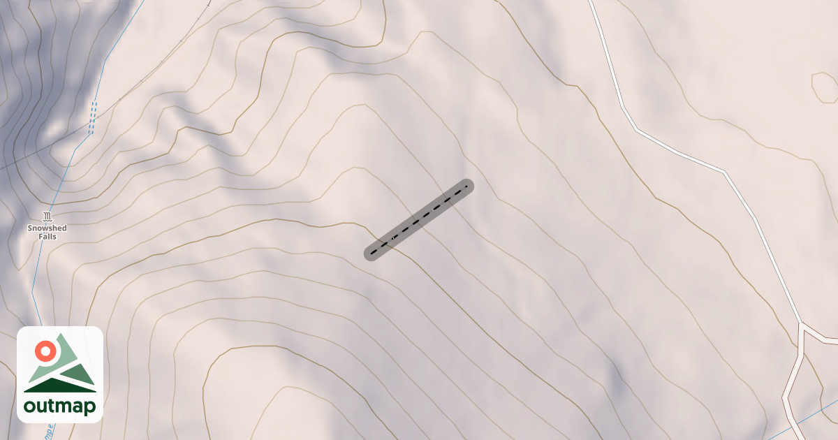 Map of Cognito Woods