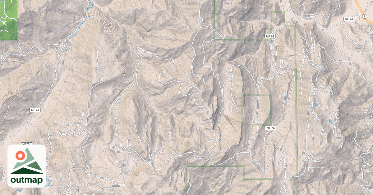 Map of NISQUALLY LOOP