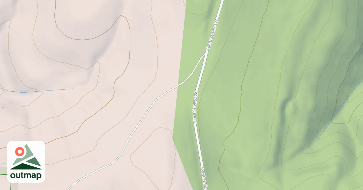 Map of USFS National Forest System Roads {B5879B72-520C-42C4-822A-DBA7CAD63694}