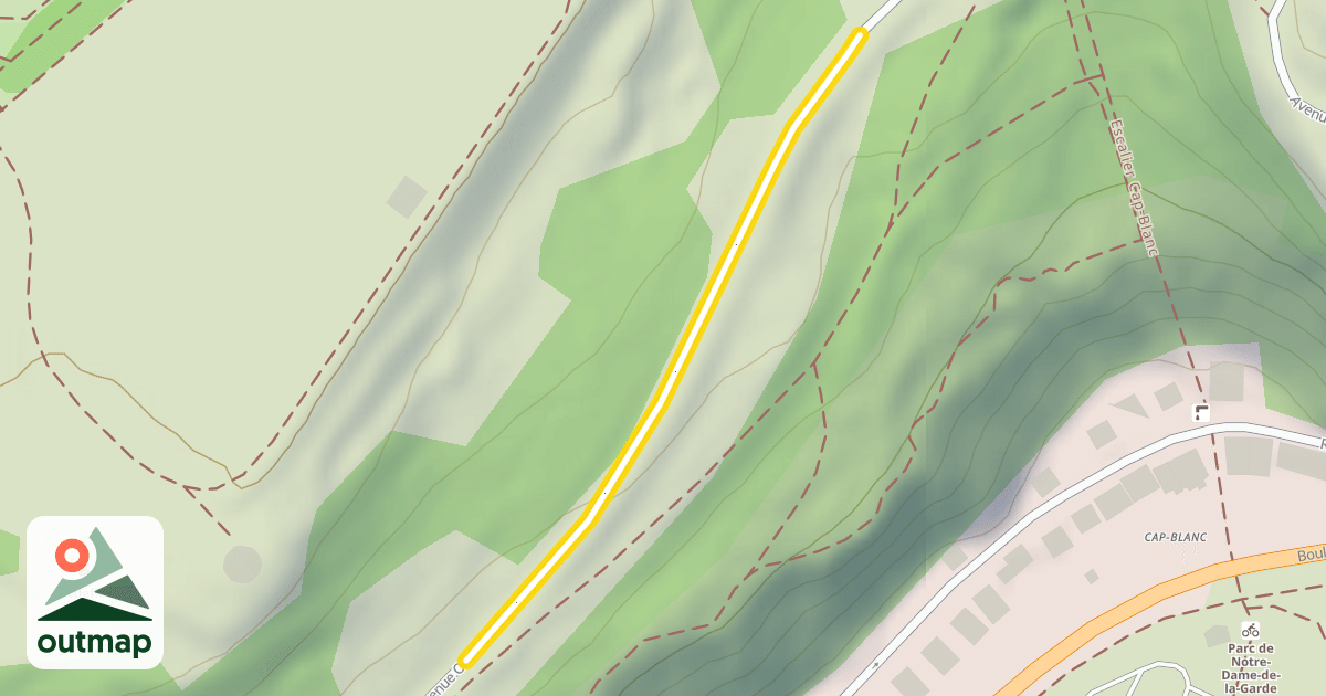 Map of Avenue Ontario