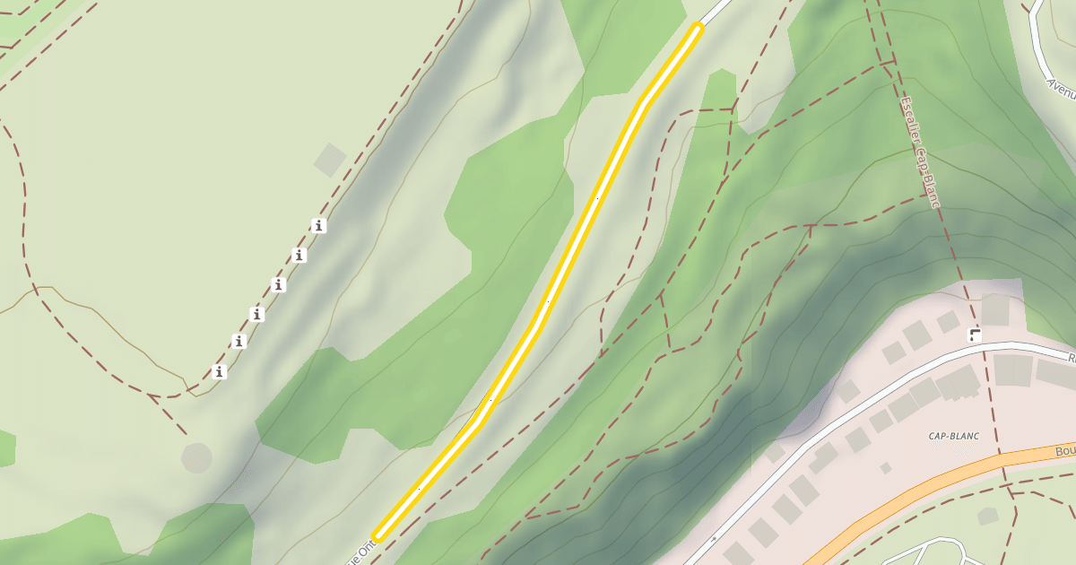 Map preview of Avenue Ontario