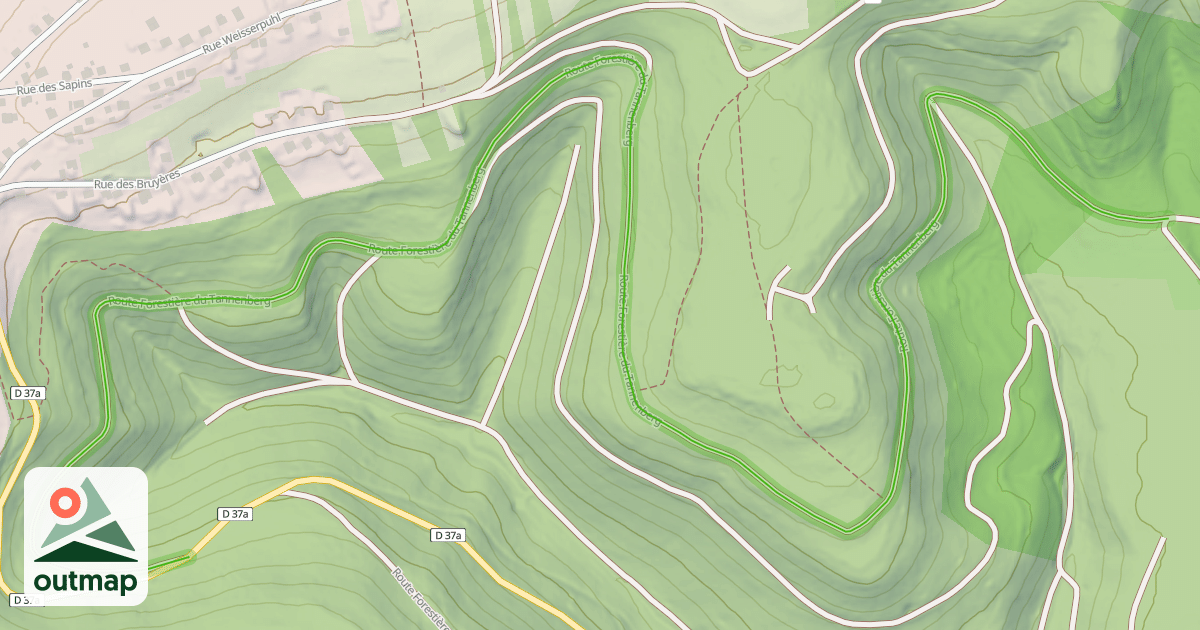 Map of Route Forestière du Tannenberg