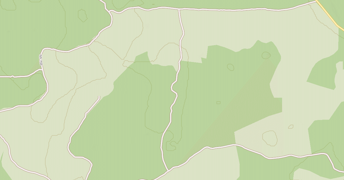 Map preview of USFS Motor Vehicle Use Map Roads {1935F5C7-C13A-4A6B-BE49-51215110810F}
