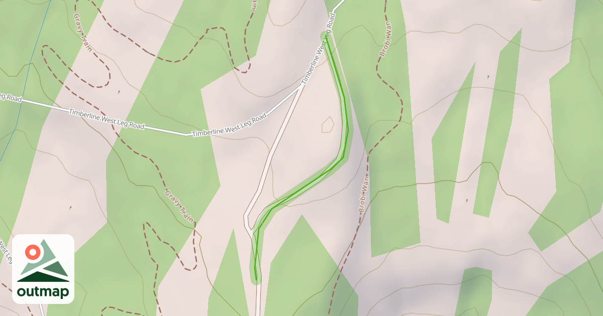 Map of Walt's Baby