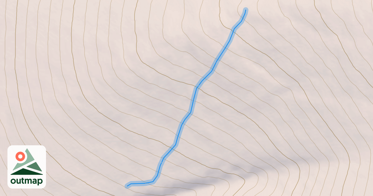 Map of Brother Bear