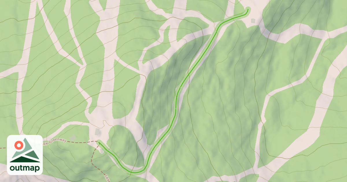 Map of Blueberry Patch