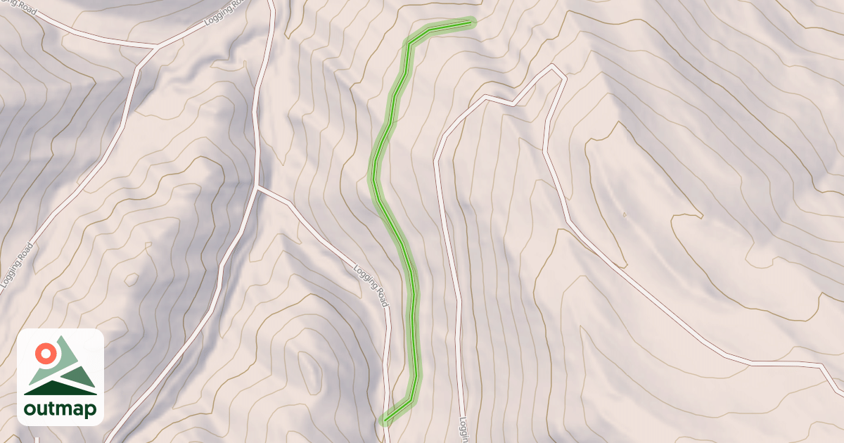 Map of Logging Road