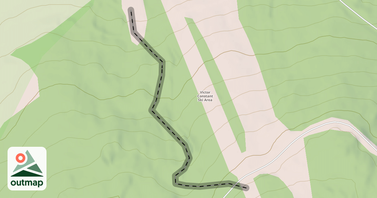 Map of Wildcat