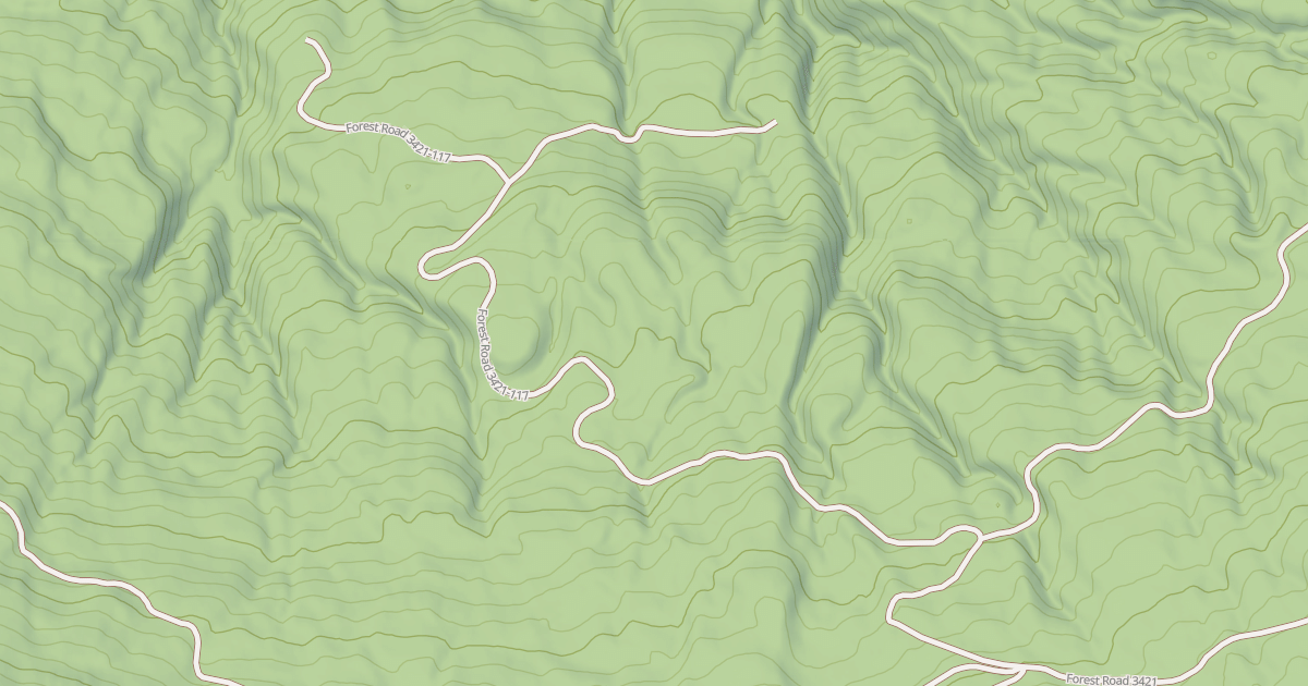 Map preview of USFS National Forest System Roads {D7420C67-FDF2-4D65-A194-B1F21B601997}