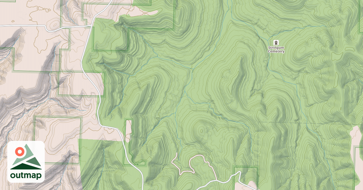 Map of USFS National Forest System Roads {8F77306B-8DD9-420D-BCED-D9E2F457C7C8}