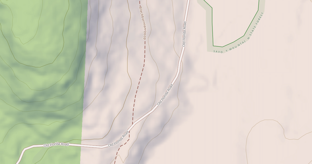 Map preview of Old Florida Road