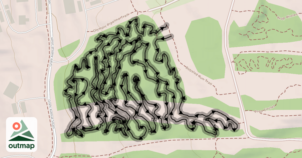 Map of The Tapeworm