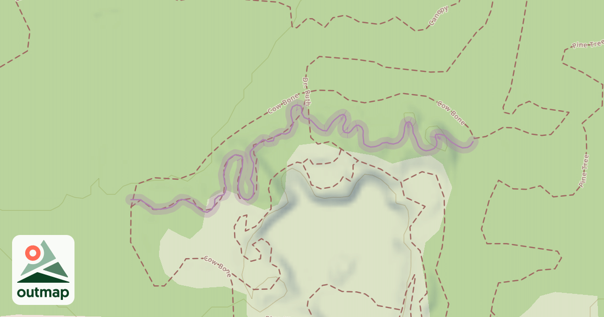 Map of Magic Mountain