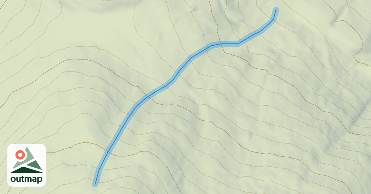 Map of Skyway