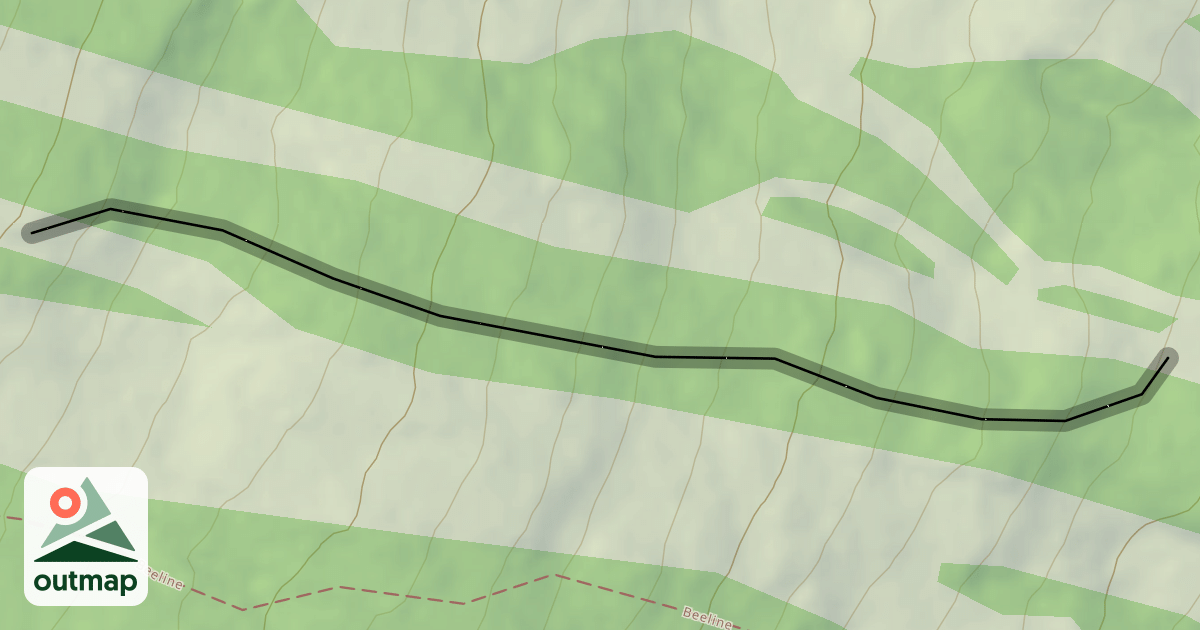 Map of Forever Wild