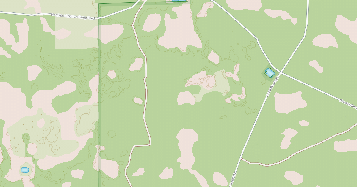 Map preview of USFS National Forest System Roads {77CE4FE4-F4A5-4723-93C6-BF9846C9E6B1}