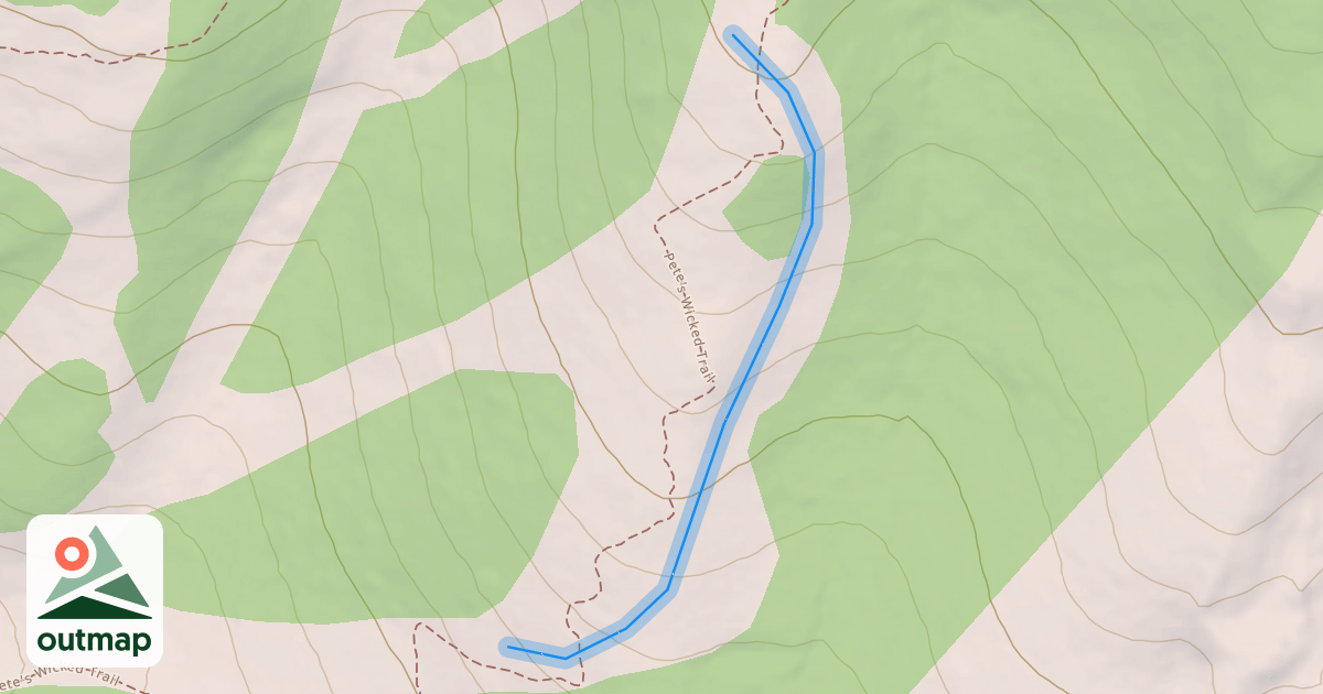 Map of Baby Powder