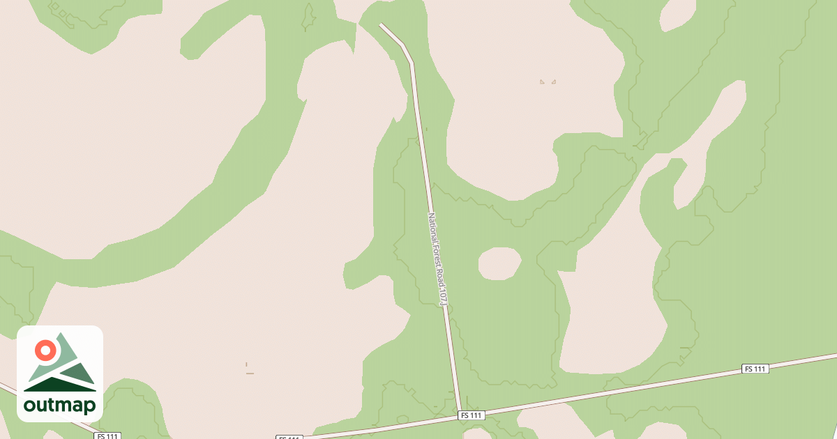 Map of USFS National Forest System Roads {5F2EEEF5-CB6A-484F-B4A9-FA7C174F84D1}