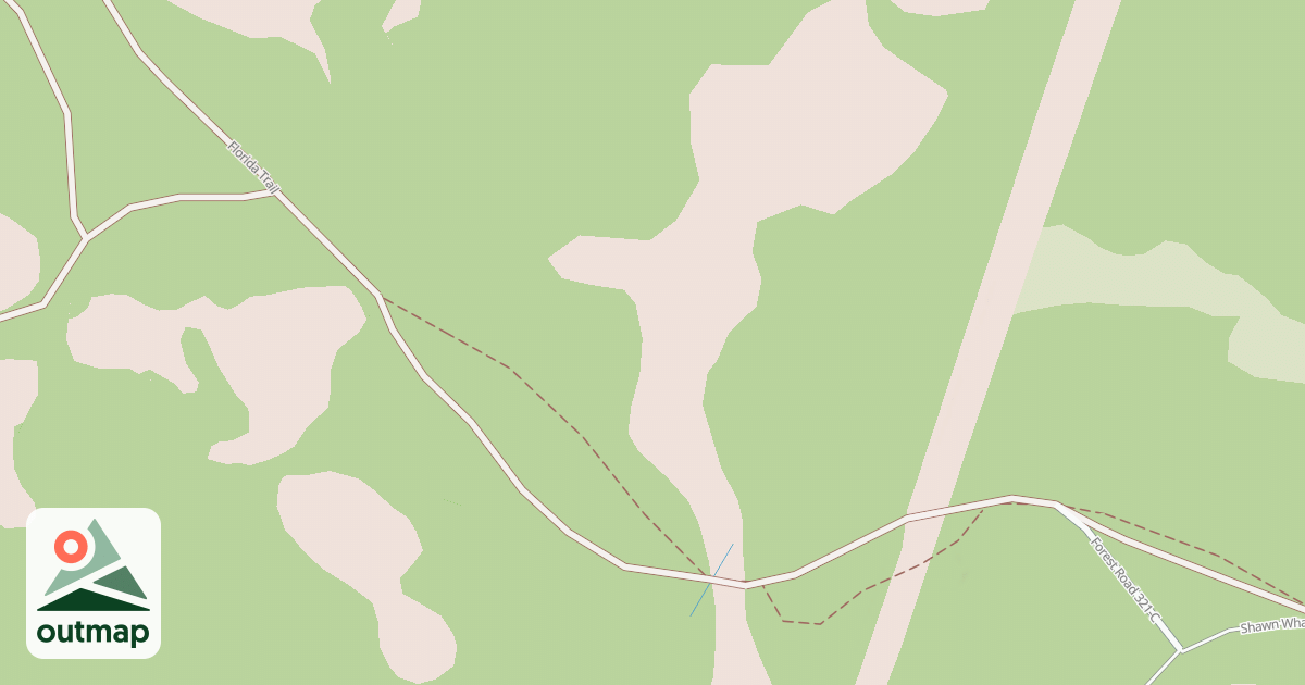Map of USFS National Forest System Roads {3225D1D5-7793-412C-84AD-0796E5EA1EA2}