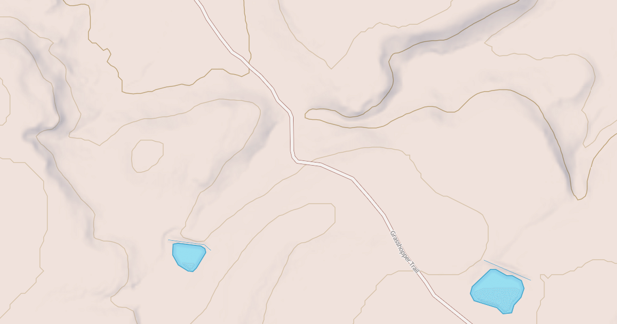 Map preview of BLM National GTLF Public Motorized Roads 04121333-3365-42c8-9383-bf5cfa69343b