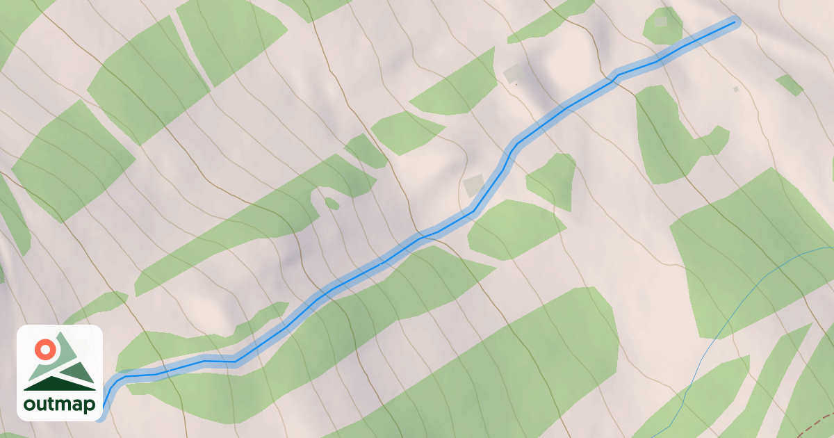 Map of Adrian's Alley
