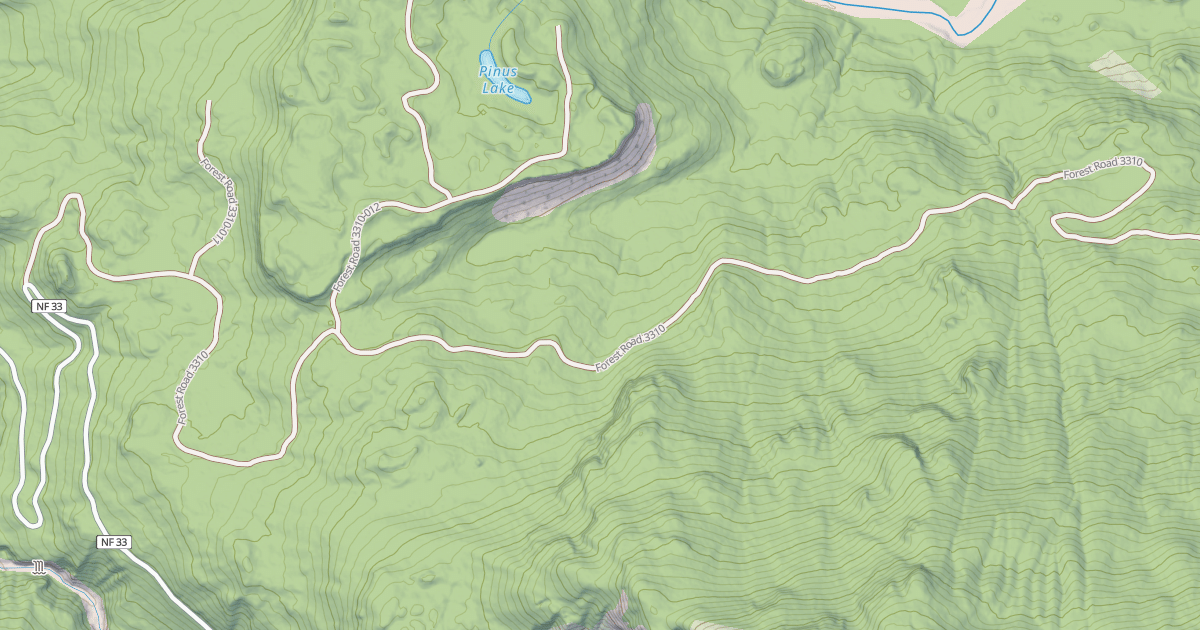 Map preview of PINUS LAKE