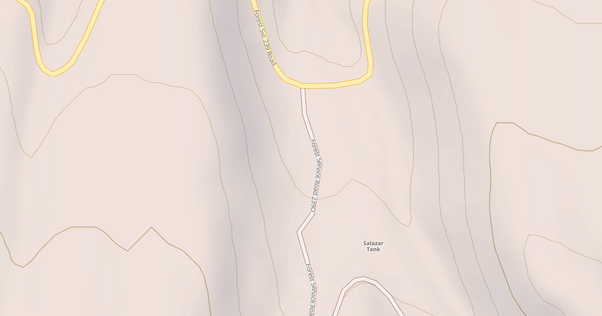 Map preview of USFS National Forest System Roads {86F5A33C-3635-4210-9DDD-C6CEB8C5C32F}