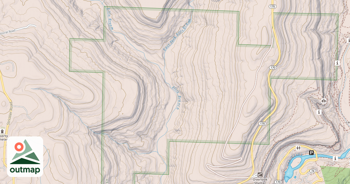 Map of USFS National Forest System Roads {1213F713-54ED-45AD-AE09-4BCA3C42981D}