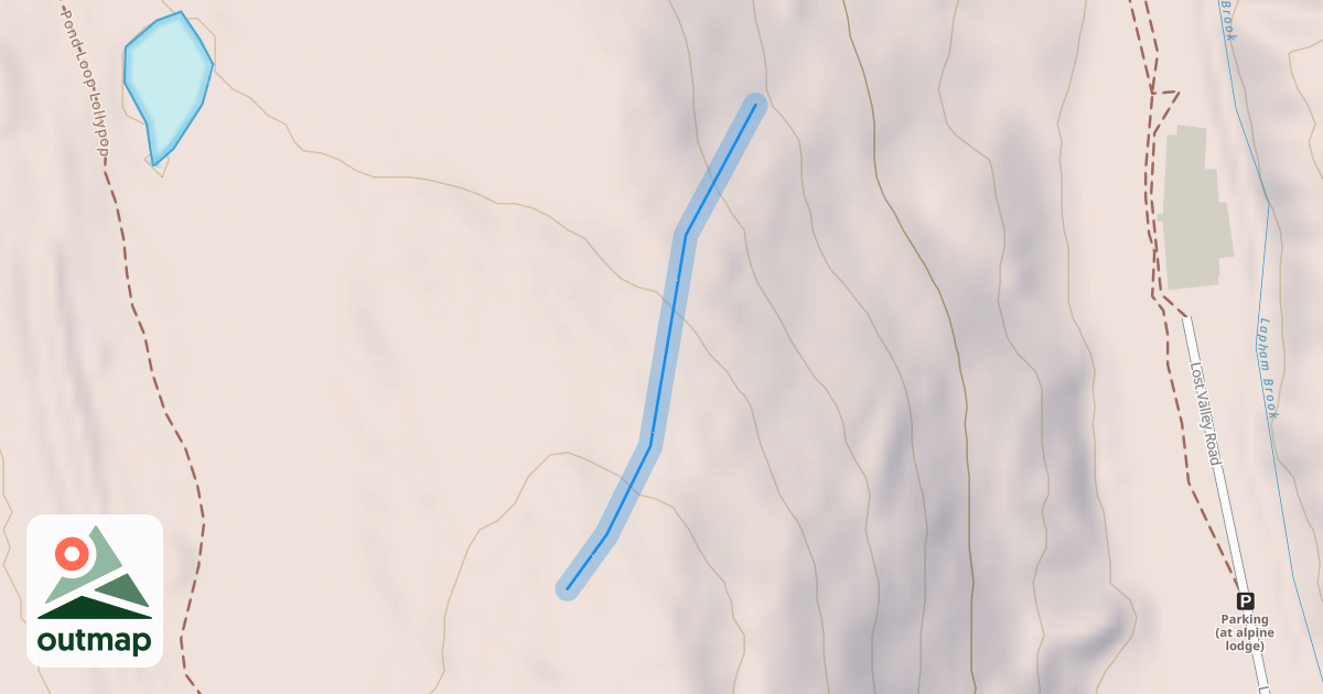 Map of Pine Grove
