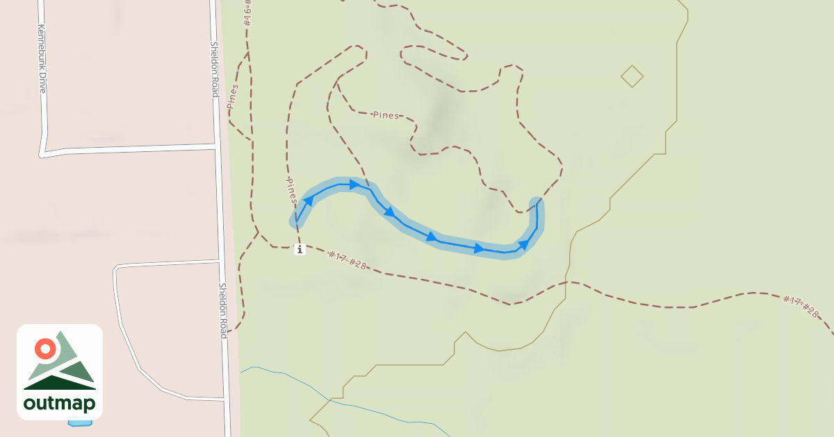 Map of Pines (Jump Line)