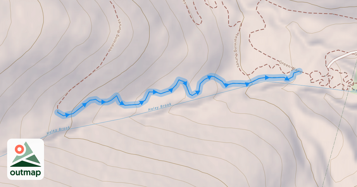Map of 203