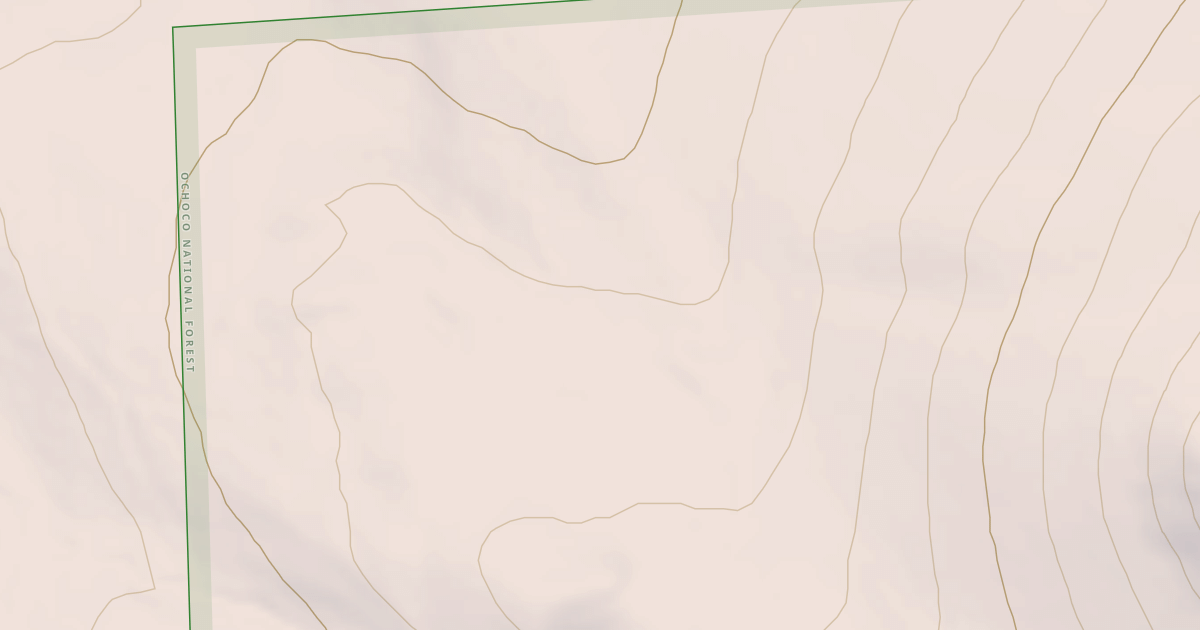 Map preview of USFS National Forest System Roads {C83B12B4-3CAC-4151-841F-366511C80C16}