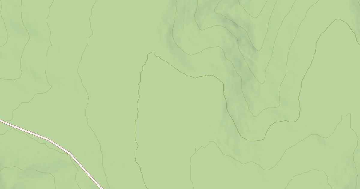 Map preview of USFS National Forest System Roads {19D0CA7E-BCA8-4F73-8E02-6F3626413820}