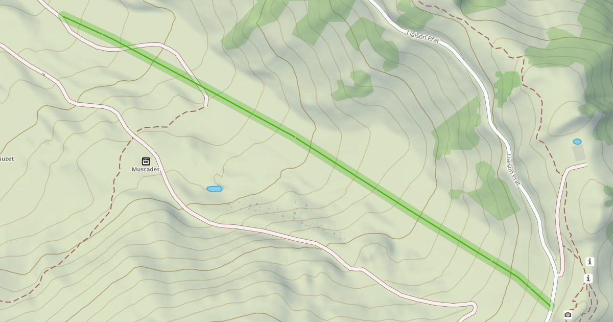 Map preview of Picou