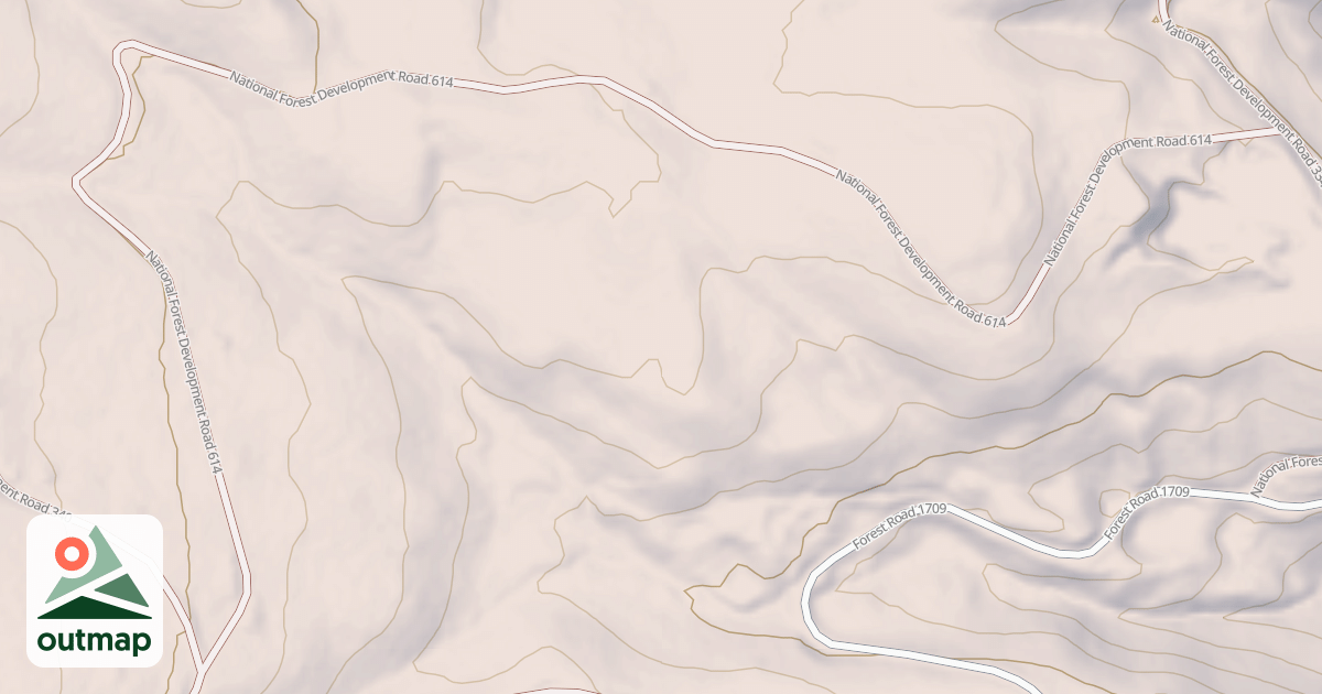 Map of USFS National Forest System Roads {DED18851-68AF-4BBD-8809-31AF21423D2D}
