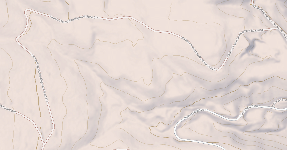 Map preview of USFS National Forest System Roads {DED18851-68AF-4BBD-8809-31AF21423D2D}
