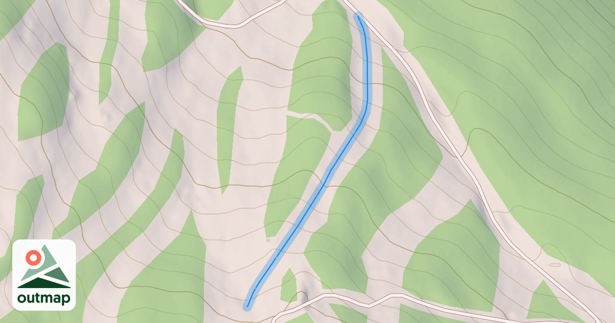 Map of Bean Sprout