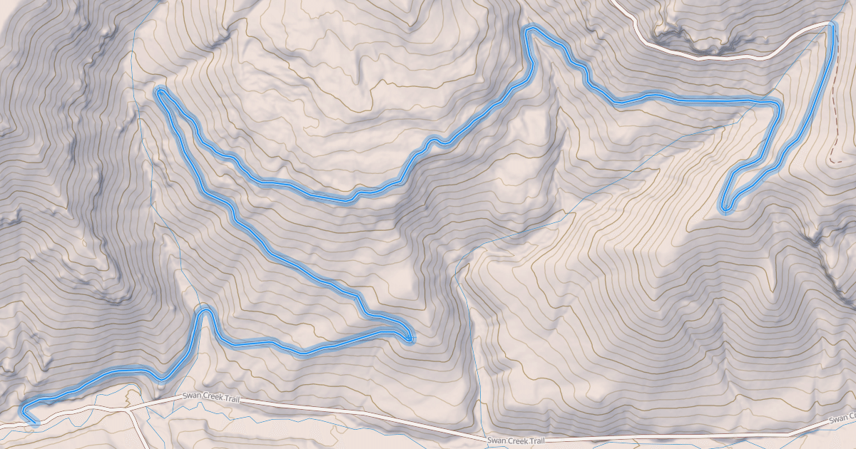 Map preview of South Fork Swan Creek Trail